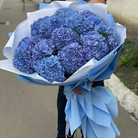 Огромный букет из 17 гортензий  - Фото 6