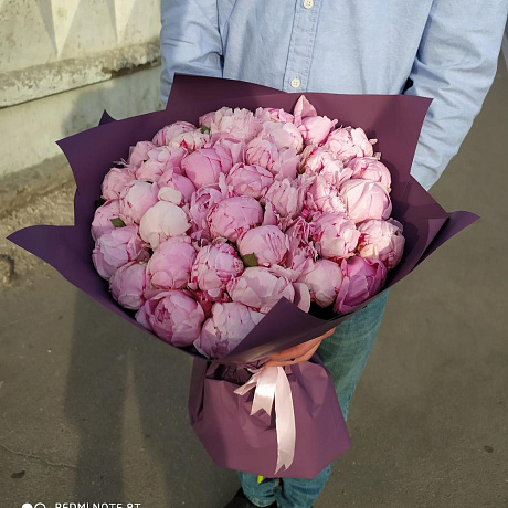 39 Пионов Сара Бернар - Фото 3