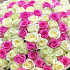 101 роза бело-розовая - Фото 2