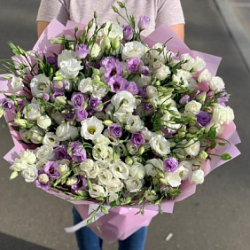 Букет из 101 Эустомы