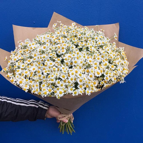 Букет из Ромашик Камилла - Фото 3