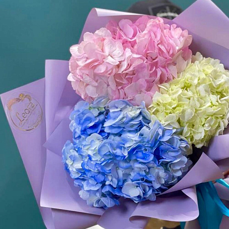 Облака гортензии в миксе - Фото 4