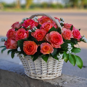 Розы 25
