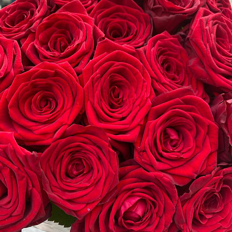 Розы red Naomi - Фото 2