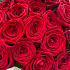 Розы red Naomi - Фото 2