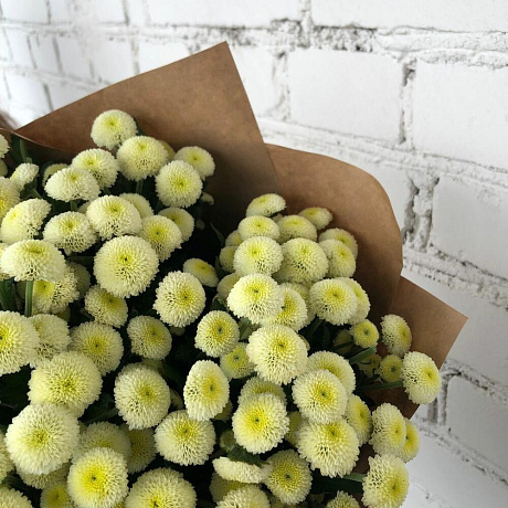 Букет цветов Гоу Гоу - Фото 3