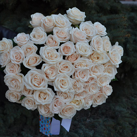 белая роза Аваланж - Фото 6