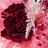 Букет цветов Pink cloud - Фото 6