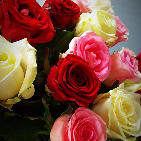 29 красных, белых и розовых роз 60 см - Фото 3