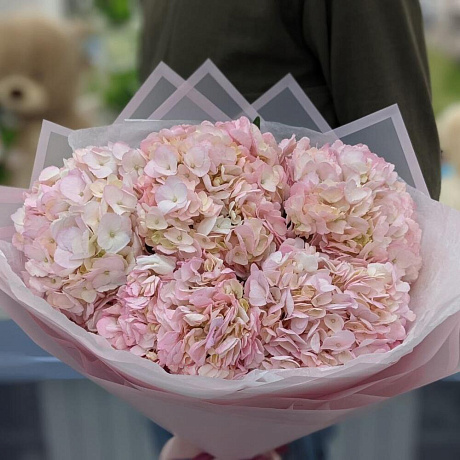 5 розовых гортензии - Фото 3