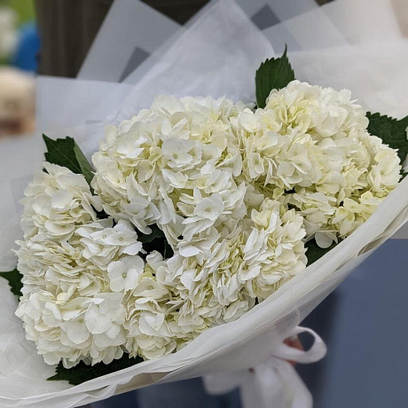 5 белых гортензий - Фото 2