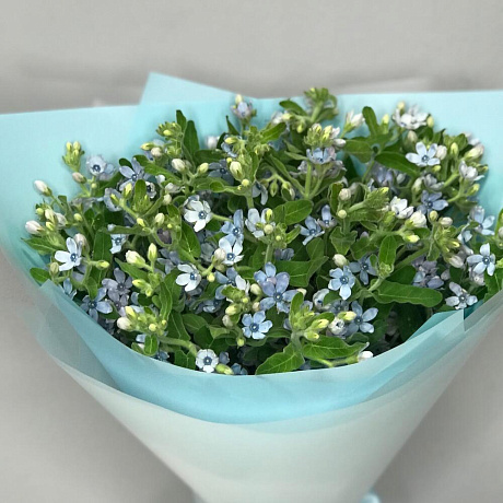 Букет цветов Опсепеталум №160 - Фото 3