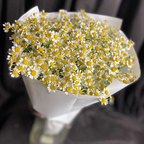 Букет Танацетума №161 - Фото 2