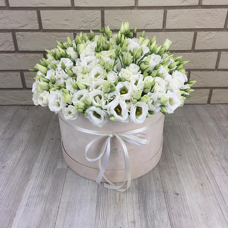 61 эустома в бархатной коробке - Фото 6