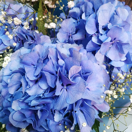 Букет с гортензиями №209 - Фото 5