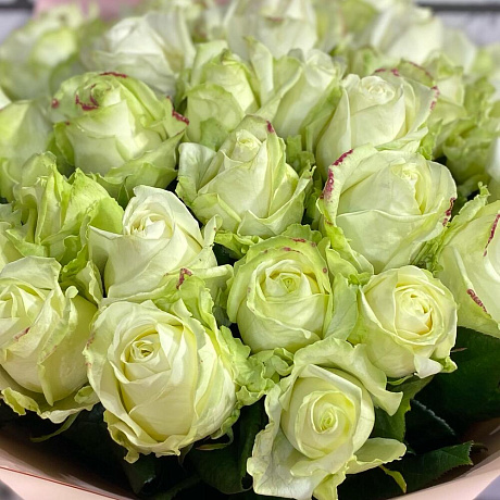 Роза Аваландж - Фото 2