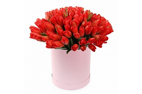 25 красных тюльпанов в розовой маленькой шляпной коробке №523
