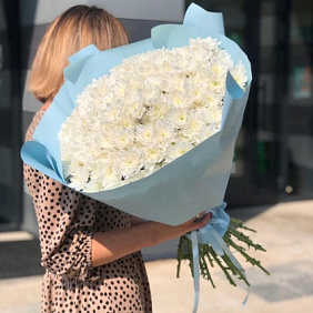 Букет из 31 белой хризантемы