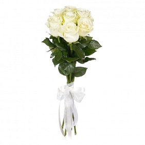 11 белых роз Премиум Эквадор 80 см