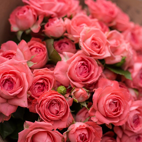 Букет из кустовых роз Барбадос - Фото 2