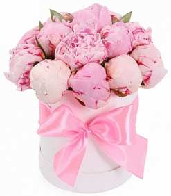 11 розовых пионов в белой шляпной коробке