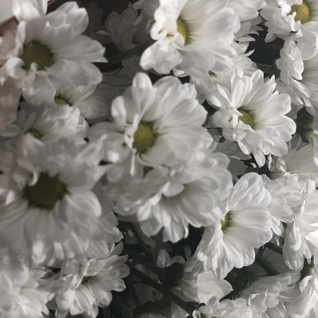 Букет из 21 хризантемы - Фото 6