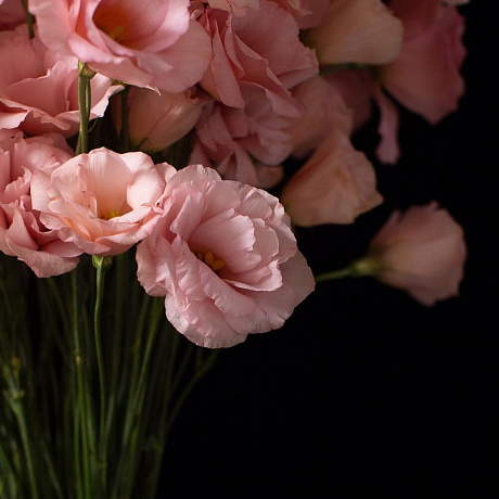 Монобукет из лизиантуса - Фото 2