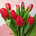 Тюльпаны для любимой - Фото 2