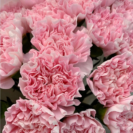 Букет цветов Розовая гвоздика - Фото 4