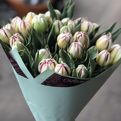 Пионовидные тюльпаны 51 шт - Фото 2