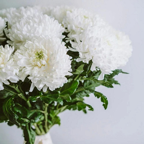 Букет цветов Белые шары - Фото 2