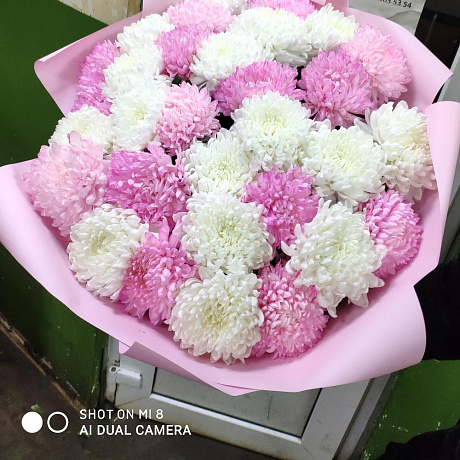 Крымская хризантема №165 - Фото 3