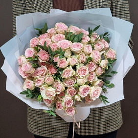 Роза кустовая Baby Folies