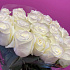 29 белых эквадорских роз - Фото 5