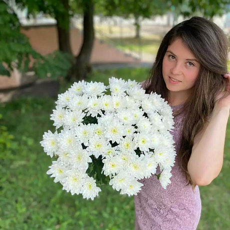Хризантема кустовая 15 шт №160 - Фото 3