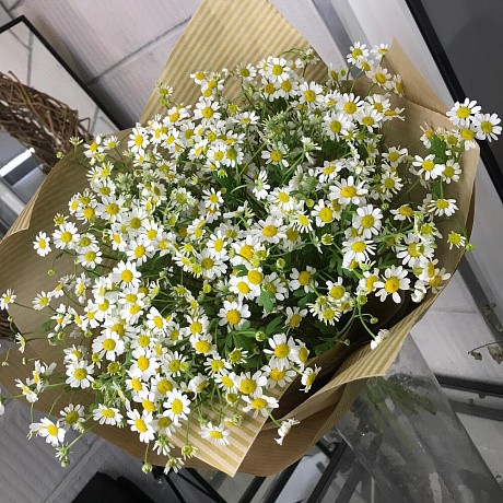 Букет Ромашки №212 - Фото 6
