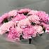 Букет цветов Dianthus pink O Hara - Фото 4