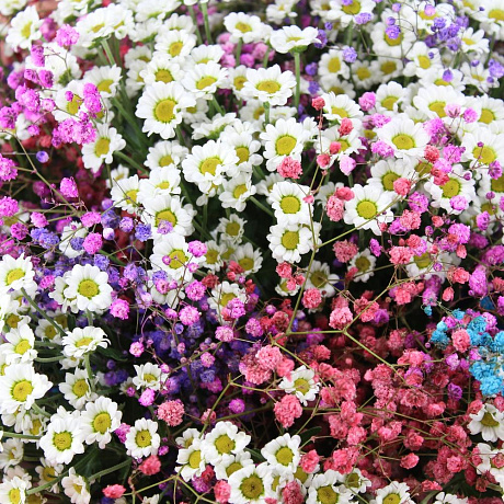 Букет цветов Радость №164 - Фото 3