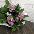 Букет цветов Летние орхидеи - Фото 2