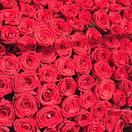 Букет цветов Новая Эпоха - Фото 6