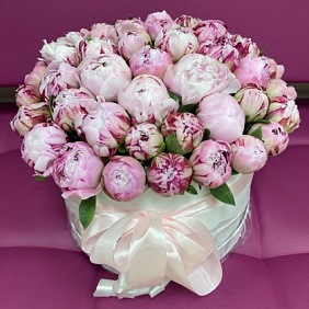 Букет из 51 пиона №161