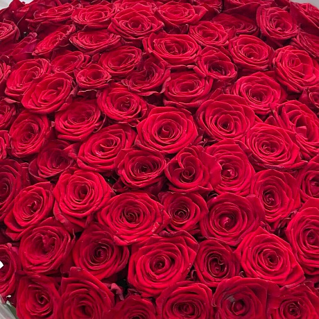 Классика любви «101 роза» - Фото 4