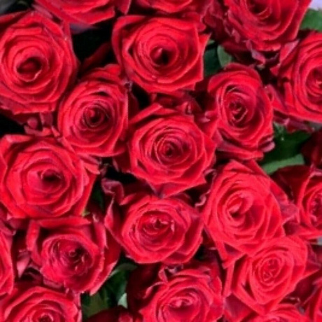 Букет из 25 красных роз (60см) - Фото 3