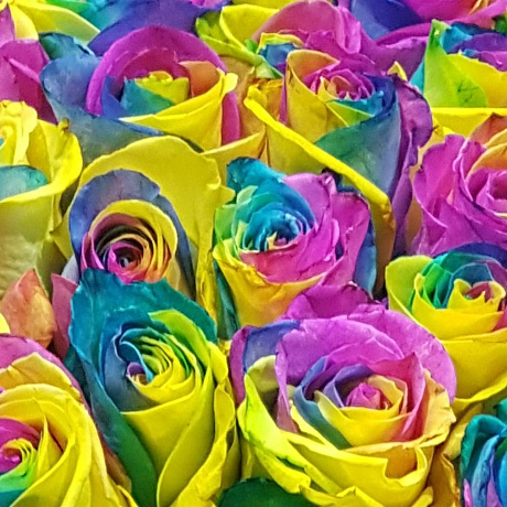 Букет из 101 радужных роз - Фото 6