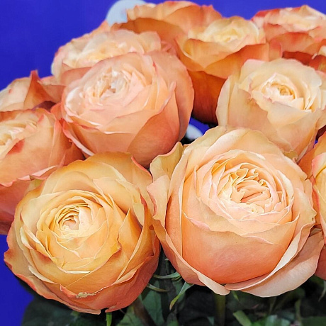 Букет из Пионовидных роз №160 - Фото 4