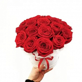 19 КРАСНЫХ РОЗ В БЕЛОЙ ШЛЯПНОЙ КОРОБКЕ