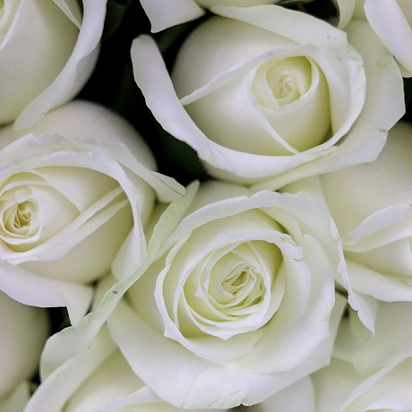 Букет из 29 белых роз (50 см). N895 - Фото 5