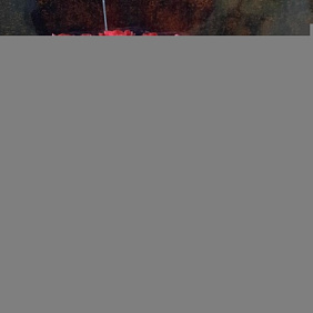 Розы "Гиганты"