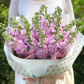 Букет из розовых маттиол