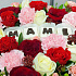 Композиция из роз с шоколадными буквами Маме - Фото 4